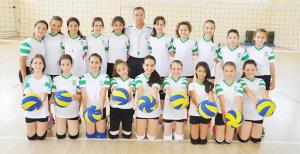 DSİ'de voleybol coşkusu