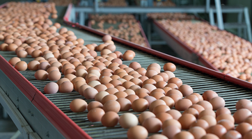 Dubaili şirketten istihdam atağı...