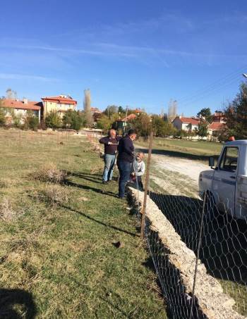 Dumlupınar’A Hayvan Pazarı
