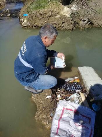 Dumlupınar İlaçlanıyor
