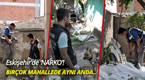 Dünya Anadolu Aslanı'nın peşinde