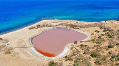 Dünya'da sadece 8 yerde var, üstelik biri...
