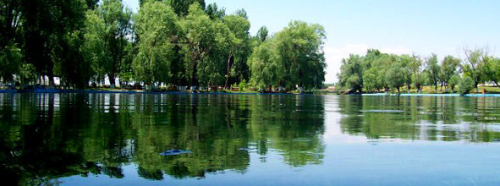 Dünya rekortmeni Eskişehir'i tercih etti!