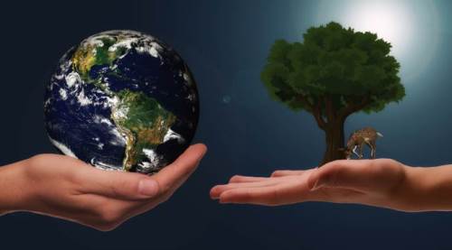 Dünyayı güzellik kurtaracak