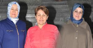 Durusilya Evleri'nde gezdiler