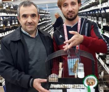 Duruşuyla En Güzel Kanarya Seçildi
