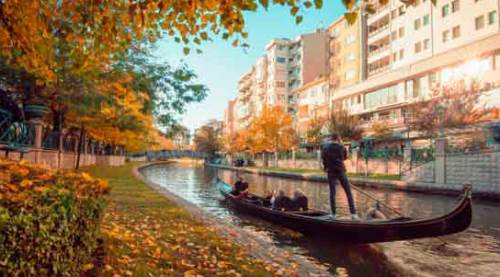 Düşünce Platformu ve Ahbaplar 