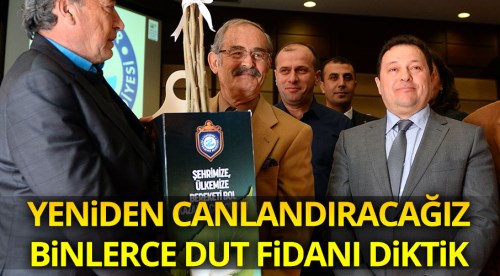 Dut fidanları üreticilere dağıtıldı
