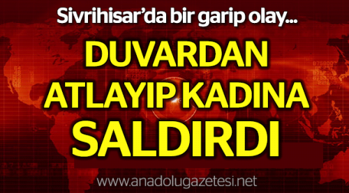 Duvardan atlayıp kadına saldırdı