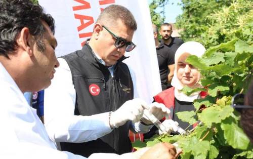 Düzce’de 20 bin Smurai arısı onlara karşı savaşacak