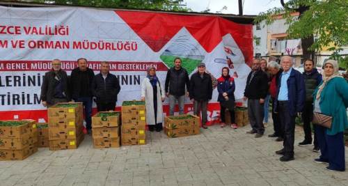 Düzce’de atıl araziler tarıma kazandırılıyor, fide dağıtımları başladı