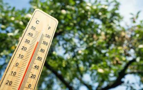 Düzce'de bugün hava nasıl olacak? Hava durumu tahminleri...