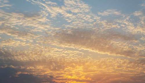 Düzce'de hava durumu nasıl olacak? (11 Aralık 2024)