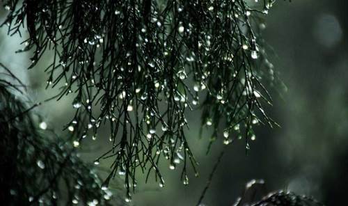 Düzce'de hava durumu nasıl olacak? (12 Aralık 2024)