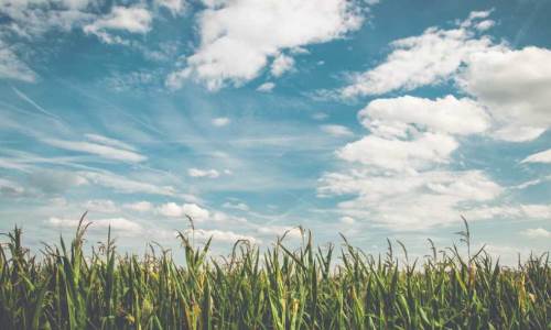 Düzce'de hava durumu nasıl olacak? (13 Aralık 2024)