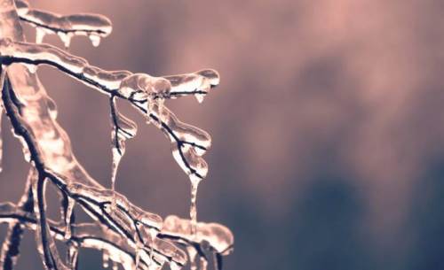 Düzce'de hava durumu nasıl olacak? (14 Aralık 2024)