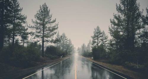 Düzce'de hava durumu nasıl olacak? (16 Aralık 2024)