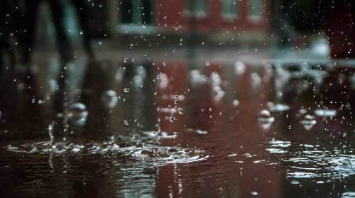 Düzce'de hava durumu nasıl olacak? (16 Ocak 2025)