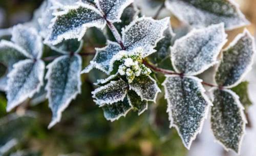 Düzce'de hava durumu nasıl olacak? (18 Aralık 2024)