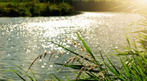 Düzce'de hava durumu nasıl olacak? (19 Aralık 2024)