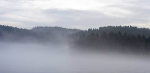 Düzce'de hava durumu nasıl olacak? (20 Ocak 2025)