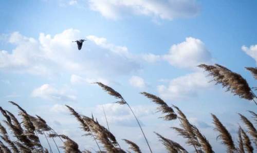 Düzce'de hava durumu nasıl olacak? (21 Ekim 2024)