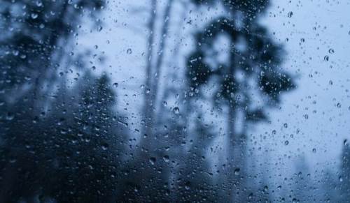 Düzce'de hava durumu nasıl olacak? (23 Kasım 2024)