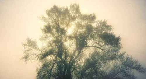 Düzce'de hava durumu nasıl olacak? (28 Ocak 2025)