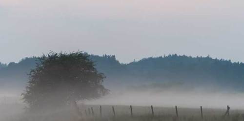 Düzce'de hava durumu nasıl olacak? (29 Ocak 2025)