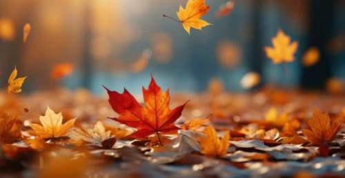 Düzce’de hava durumu nasıl olacak? (31 Aralık 2024)