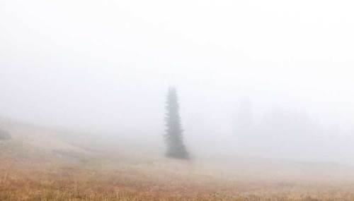 Düzce'de hava durumu nasıl olacak? (31 Ocak 2025)