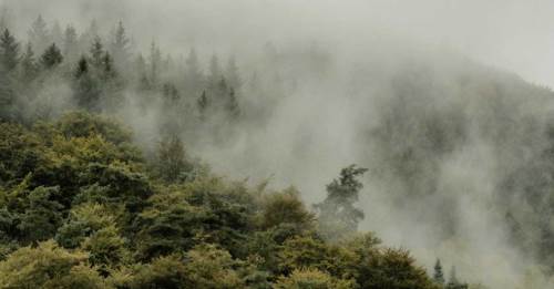 Düzce'de hava durumu nasıl olacak? (6 Kasım 2024)