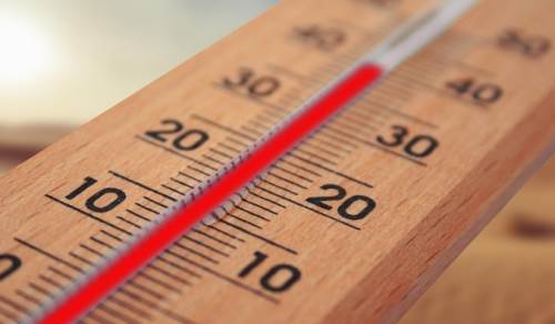 Düzce’de kavurucu sıcaklar etkili: Termometreler 40 dereceyi gösterdi