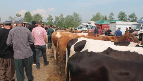 Düzce’de Kurban Bayramı öncesi sıkı denetimler sürüyor