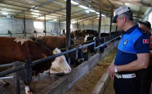 Düzce’de kurban kesim ve satış yerleri sıkı denetim altında