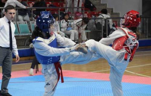 Düzce'de taekwondo rüzgarı: 23 Nisan TBMM Kupası sonuçlandı