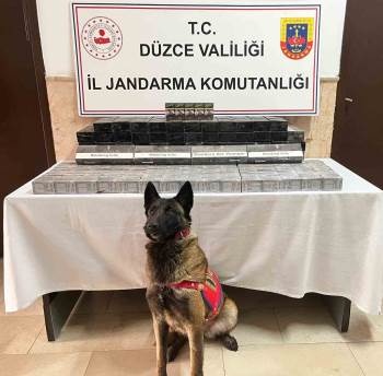 Düzce'de tırda binlerce paket bandrolsüz sigara bulundu 