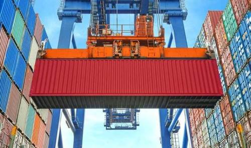 Düzce’den orman ürünlerinde ihracat atağı