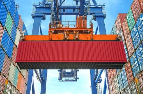 Düzce'den orman ürünü ihracatında güçlü başlangıç