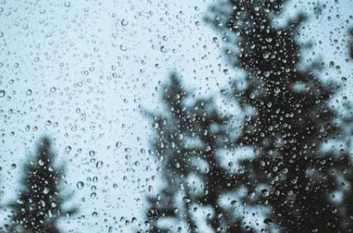 Düzce hava durumu - 10 Nisan 2025