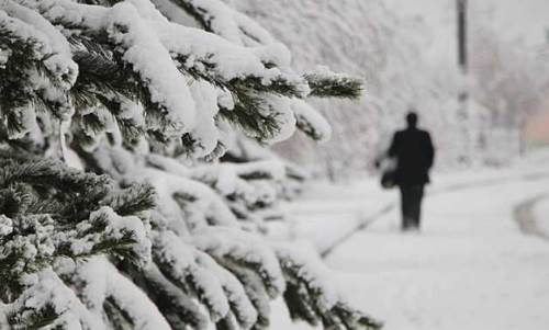 Düzce hava durumu - 11 Nisan 2025