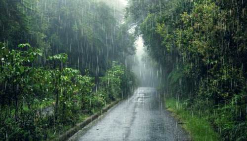 Düzce hava durumu - 17 Şubat 2025