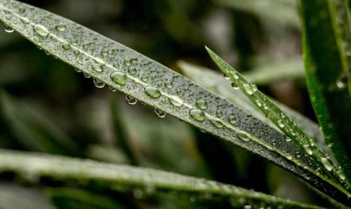 Düzce hava durumu - 3 Nisan 2025