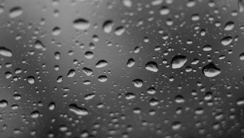 Düzce hava durumu - 31 Mayıs 2025