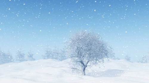 Düzce hava durumu - 5 Şubat 2025