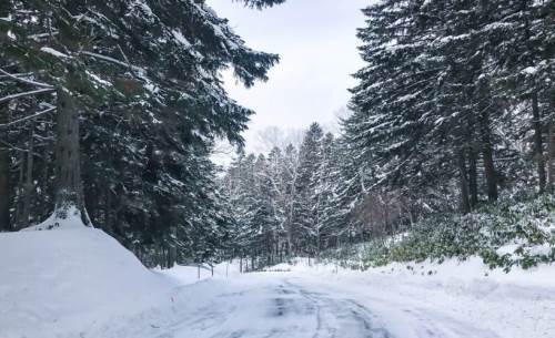 Düzce hava durumu - 8 Şubat 2025