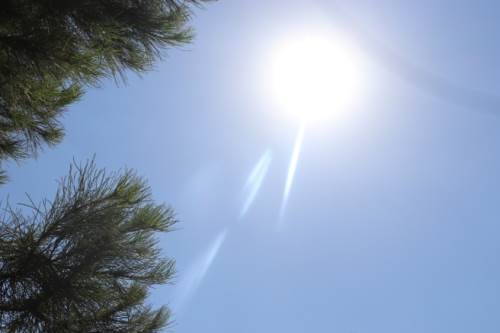 Düzce hava durumu (15 Haziran 2025)