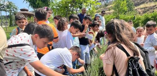 Düzce Konuralp İlkokulu öğrencileri, bitkilerle dolu bir gün geçirdi