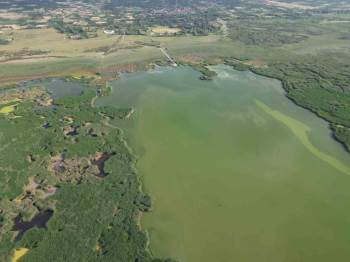 Eber Gölü’Nde ’Küçülme’ Tehlikesi Baş Gösterdi
