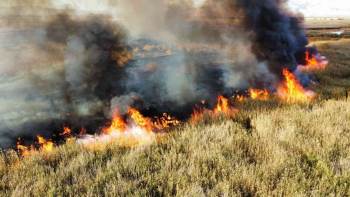 Eber Gölü’Nde Çıkan Yangın 6 Saatte Söndürüldü
